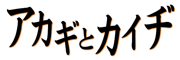 アカギとカイヂ 天満橋店